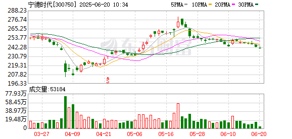 大资本配资 宁德时代：第四届监事会第五次会议决议公告