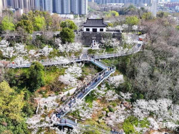 盈透科技 春日里的“颜值经济”