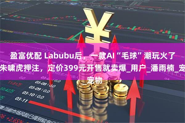 盈富优配 Labubu后，一款AI“毛球”潮玩火了：朱啸虎押注，定价399元开售就卖爆_用户_潘雨楠_宠物