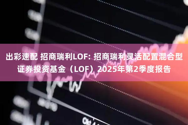 出彩速配 招商瑞利LOF: 招商瑞利灵活配置混合型证券投资基金（LOF）2025年第2季度报告