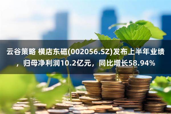 云谷策略 横店东磁(002056.SZ)发布上半年业绩，归母净利润10.2亿元，同比增长58.94%