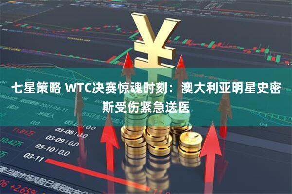 七星策略 WTC决赛惊魂时刻：澳大利亚明星史密斯受伤紧急送医