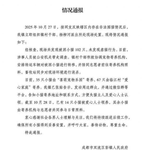锦盈多 成都一空置房关了上百只猫，官方通报后记者实地探访→