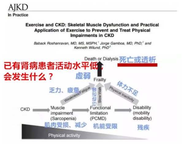 掌心策略 8个对肾好的运动！让肾衰竭进程“踩刹车”，推荐给肾友们